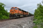 BNSF 6019